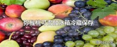 弥猴桃可否放冰箱冷藏保存