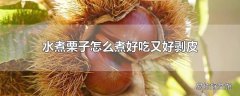 水煮栗子怎么煮好吃又好剥皮