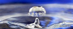 水是生物吗