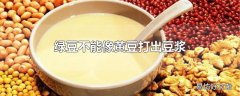 绿豆不能像黄豆打出豆浆