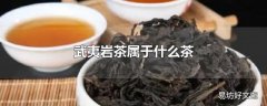 武夷岩茶属于什么茶