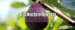 无花果能放冰箱保存吗