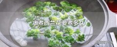 水煮西兰花要煮多久