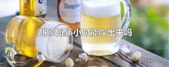 2瓶啤酒6小时能吹出来吗