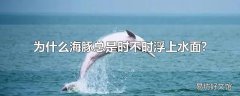 为什么海豚总是时不时浮上水面?