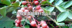 花椒里面的黑籽怎么处理