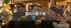 蟹bro是个啥