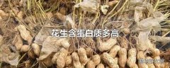 花生含蛋白质多高