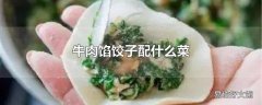 牛肉馅饺子配什么菜