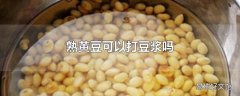 熟黄豆可以打豆浆吗