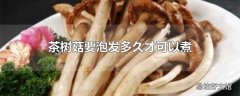 茶树菇要泡发多久才可以煮