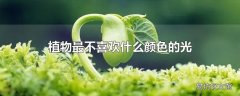 植物最不喜欢什么颜色的光