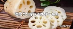 莲藕怎么保存才新鲜不变黑