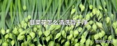 韭菜花怎么清洗算干净