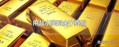 用盐水鉴别金子真假