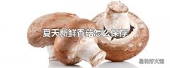 夏天新鲜香菇怎么保存