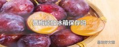 西梅能放冰箱保存吗