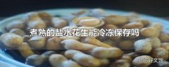 煮熟的盐水花生能冷冻保存吗