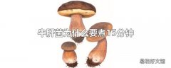 牛肝菌为什么要煮15分钟