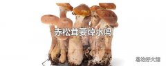 赤松茸要焯水吗