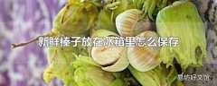 新鲜榛子放在冰箱里怎么保存