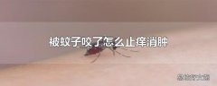 被蚊子咬了怎么止痒消肿