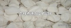 怎样煮速冻饺子最好