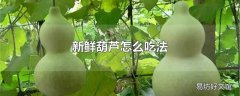 新鲜葫芦怎么吃法