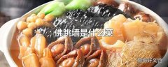 佛跳墙是什么菜