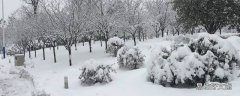 干雪和湿雪的区别