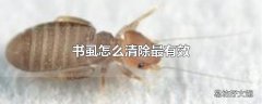 书虱怎么清除最有效