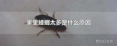 家里蟑螂太多是什么原因