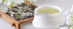 白茶什么季节喝好