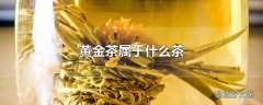 黄金茶属于什么茶