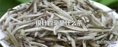 银针白毫是什么茶