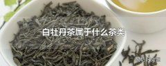 白牡丹茶属于什么茶类