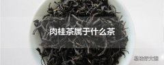 肉桂茶属于什么茶