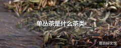 单丛茶是什么茶类