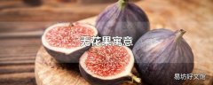 无花果寓意