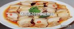 猪肉蒸20分钟能熟吗