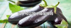 茄子可以放冰箱保鲜吗