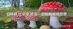 白杆杆,红伞伞,吃完一起躺板板啥意思