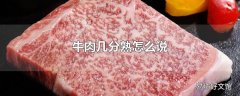 牛肉几分熟怎么说