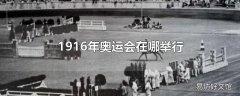 1916年奥运会在哪举行