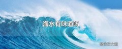 海水有味道吗