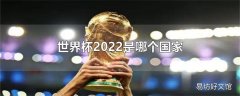 世界杯2022是哪个国家