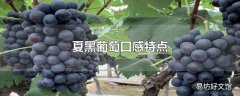 夏黑葡萄口感特点