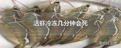 活虾冷冻几分钟会死