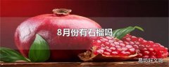 8月份有石榴吗