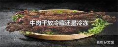 牛肉干放冷藏还是冷冻